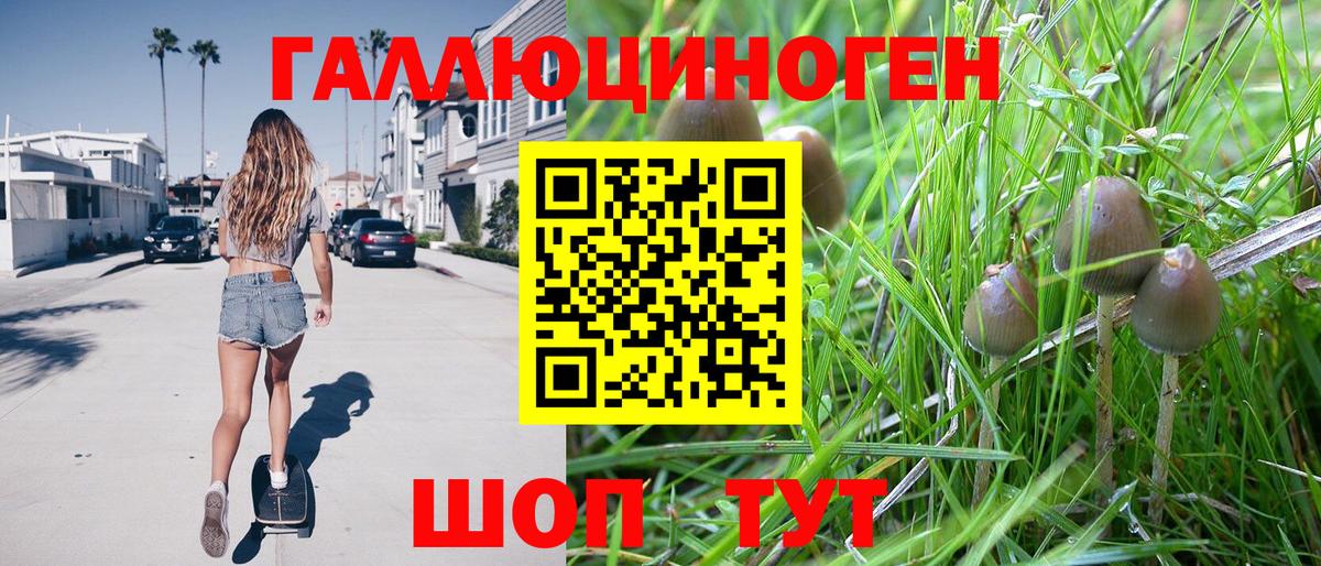 Псилоцибиновые грибы прущие грибы Альметьевск