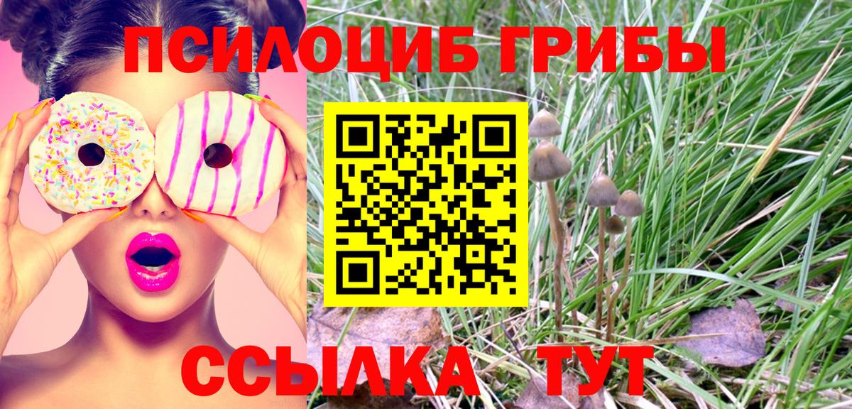 Альметьевск  Псилоцибиновые грибы MAGIC MUSHROOMS  Вход с VPN 